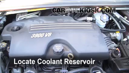 2008 Chevrolet Uplander LS 3.9L V6 Coolant (Antifreeze) Flush Coolant